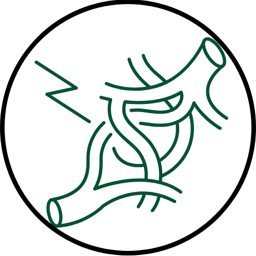 individual